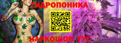 стаф Нягань