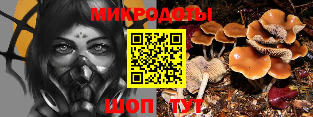 Псилоцибиновые грибы прущие грибы Родники